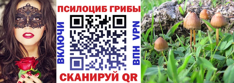 купить наркотики сайты  Реж  гидра онион  Галлюциногенные грибы Psilocybe 